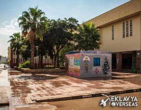 Helwan University MBBS In Egypt
