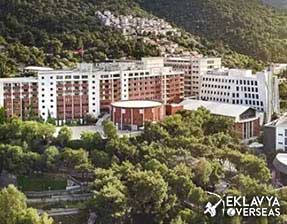 Izmir Ekonomi University