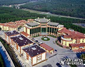 Maltepe University