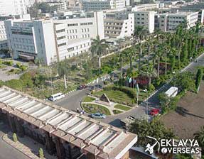 Mansoura University MBBS In Egypt
