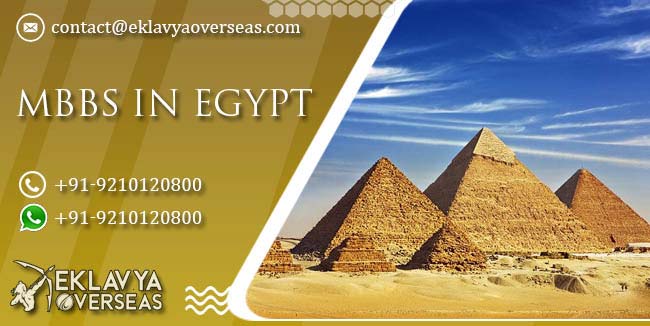 MBBS In Egypt