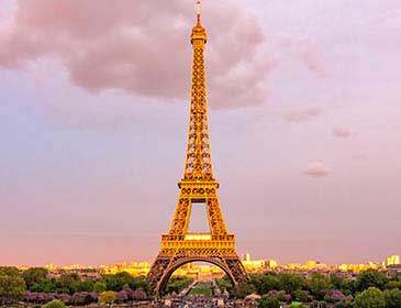 MBA in France
