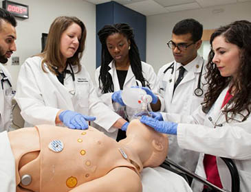 Altai State Medical University Hospital Training 