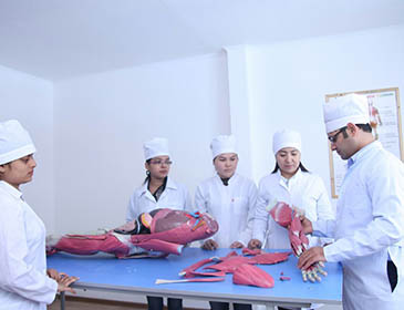 Asian Medical Institute Practical Training