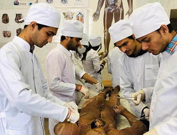 Baskhir State Medical University Practical Training 