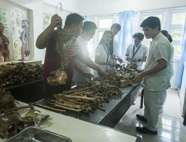 Bicol Christian College of Medicine Medicine Lab