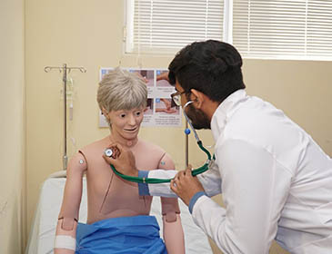 Caucasus International University Practical Training 