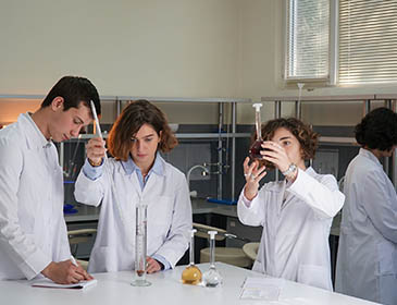 Caucasus International University University Training 