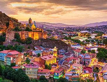 David Tvildiani Medical University Tbilisi City