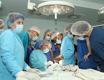 European University Hospital Training 
