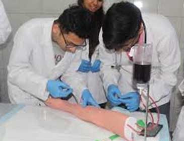 Georgian American University Practical Training