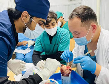 International School of Medicine Hospital Training