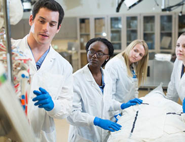 Irkutsk State Medical University Training 