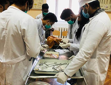 Ivano Frankivsk National Medical University Practical Training 