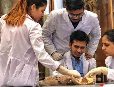 Kazan State Medical University Hospital Training 
