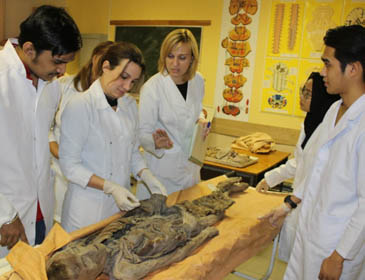 Kursk State Medical University  Practical Training 