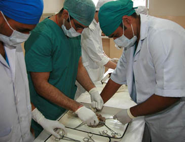Kursk State Medical University Training 