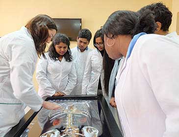 Medical Education in Belarus