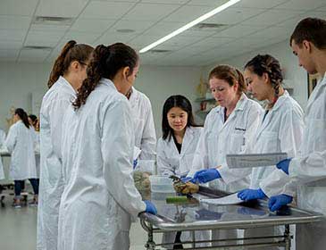 Medical Education in Canada