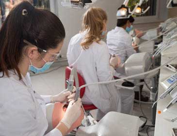 Medical Education in Latvia