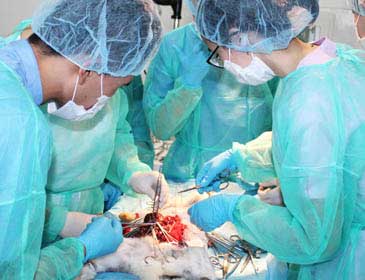 Medical Education in Tajikistan