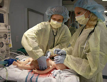 Novosibirsk State University Training 
