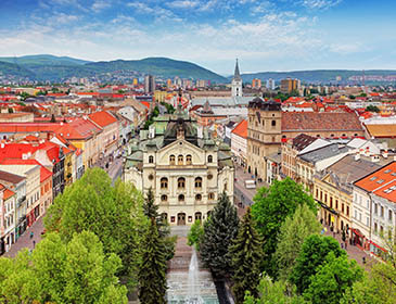 Petre Shotadze Tbilisi Medical Academy Tbilisi City 