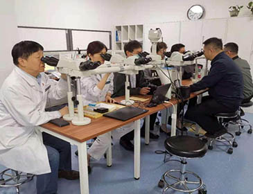 Sichuan University Training 