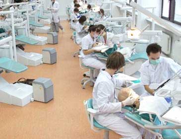 Study Medicine in egypt