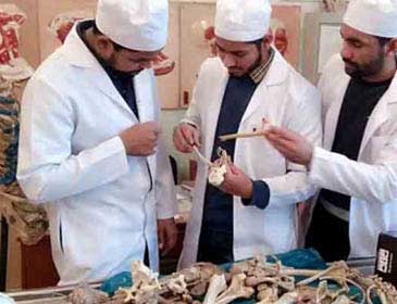 Study Medicine in Kyrgyzstan