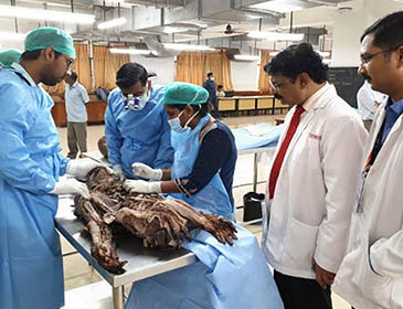 Sun Yat Sen University Hospital Training 