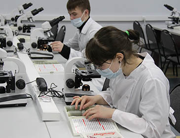 Syktyvkar State Medical University Practical Training 
