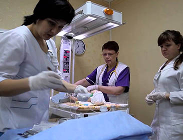 taras shevchenko national university of kyiv Practical Training 