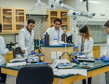 ternopil state medical university lab