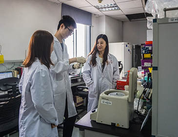 Tongji University Practical Training 