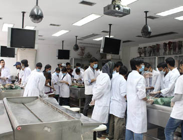 Xiamen University Lab