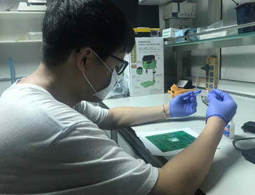 Xiamen University Laboratory 