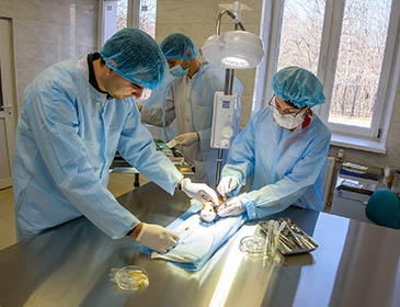 Zaporozhey State Medical University Hospital Training 