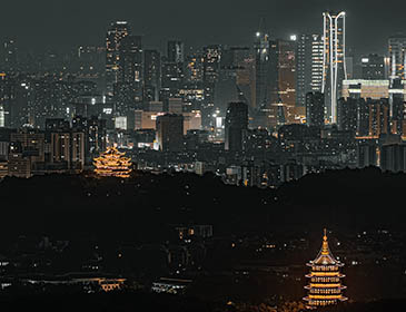 Zhejiang University Zhejiang  City